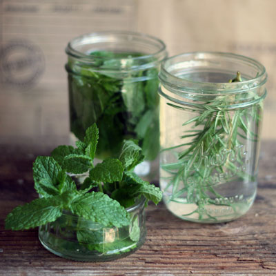 herb-infused-vodka-400x400