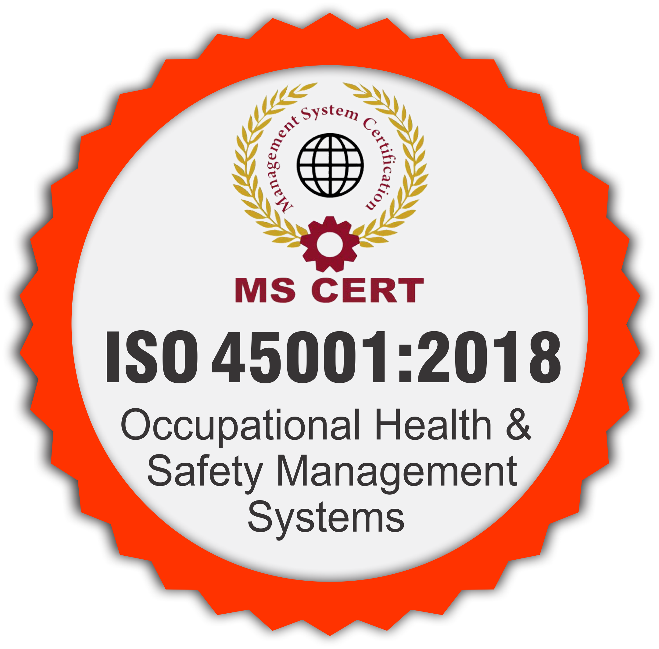 Hệ thống Quản lý An toàn & Sức khỏe nghề nghiệp<br>ISO 45001:2018